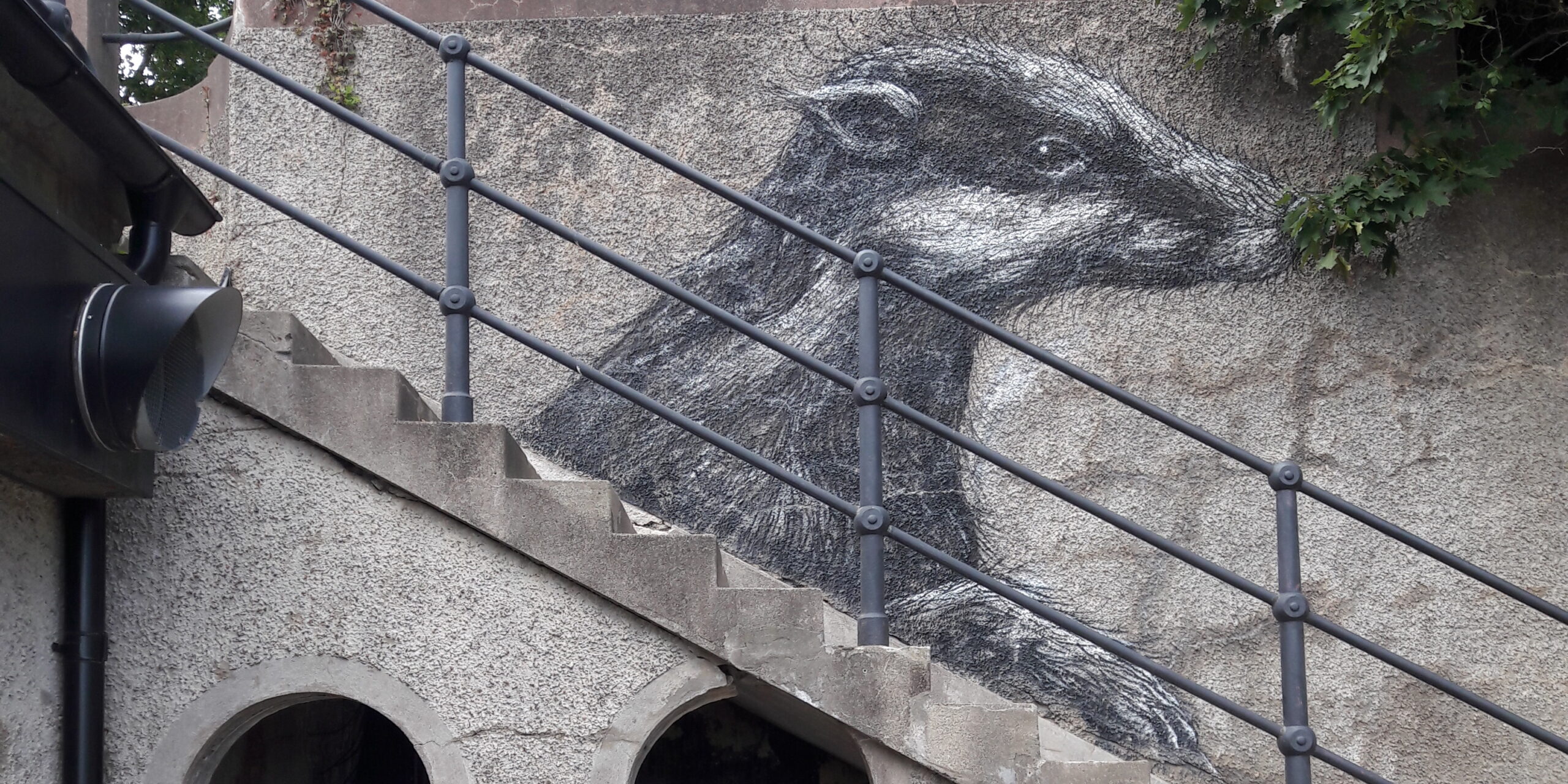 Street Art in Stockholms Umland, Subtopias utomhusgalleri, ROA, Blog, Expedition Stockholm 